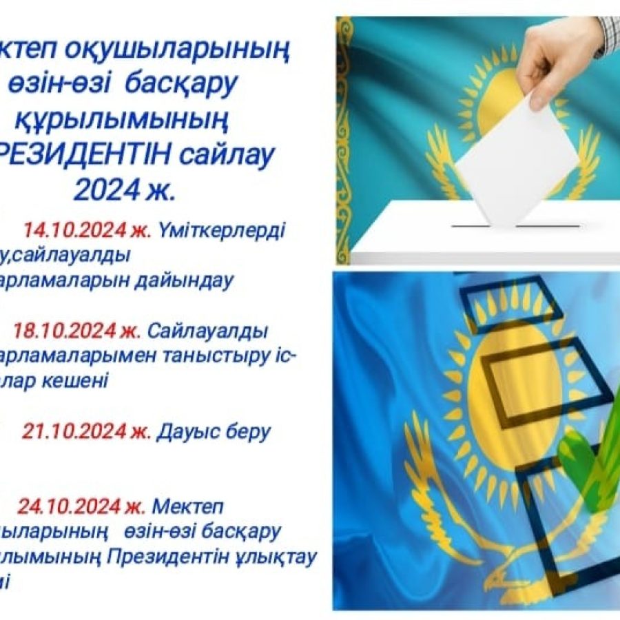 WhatsApp Image 2024-11-09 at 00.51.16